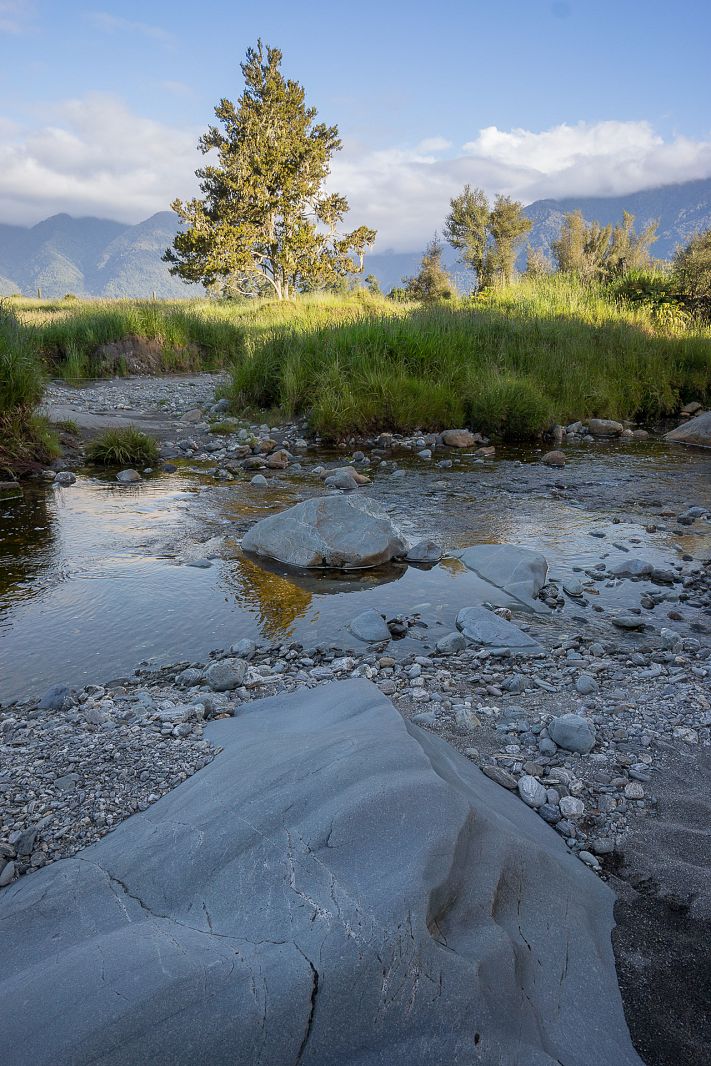 Westland NP, New Zealand